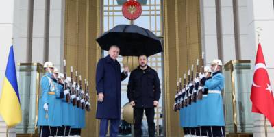 Зеленський в Анкарі зустрівся з Ердоганом