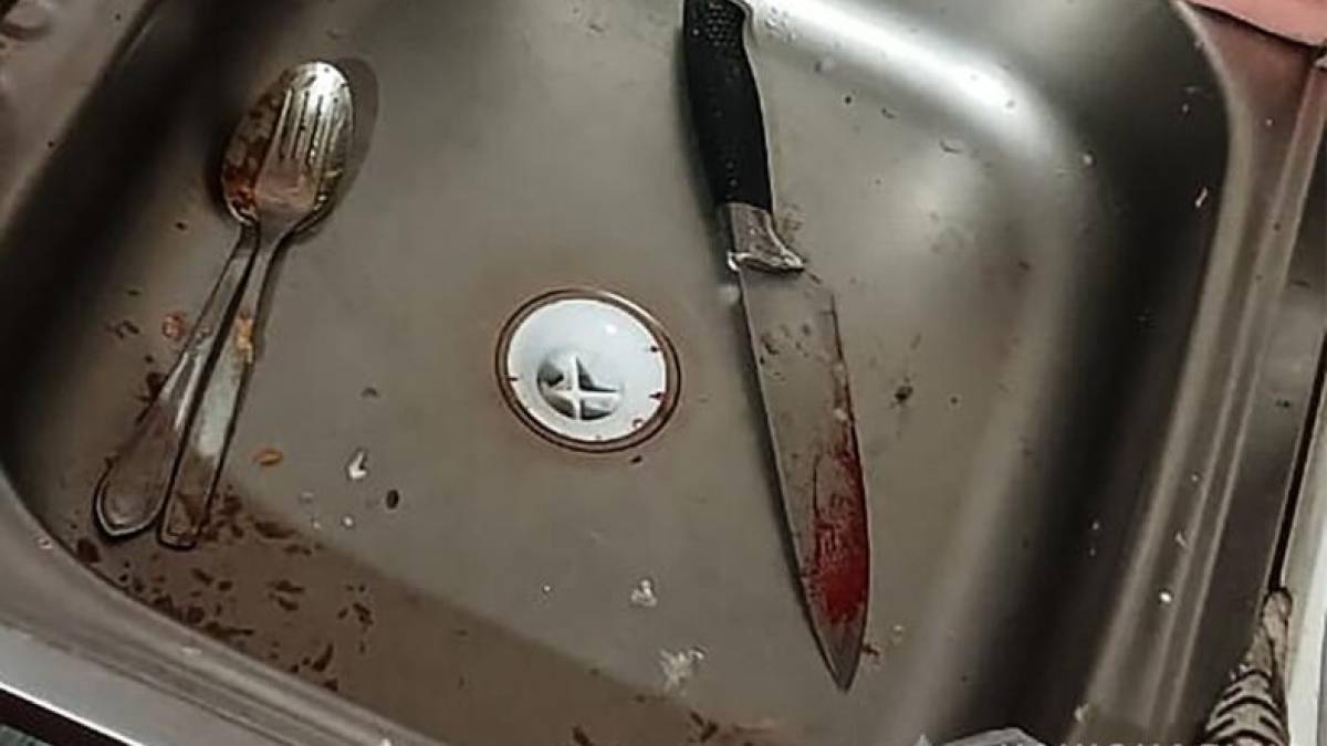 На Запоріжжі жінка під час сварки вбила ножем співмешканця