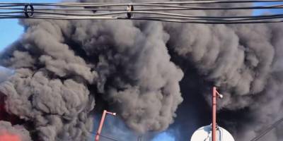 На Запоріжжі шкода довкіллю внаслідок забруднення повітря через ворожі обстріли складає понад 234 млн грн