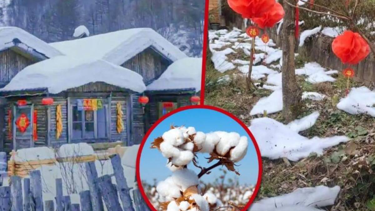 Зимовий курорт в Китаї довелося закрити через підроблений сніг
