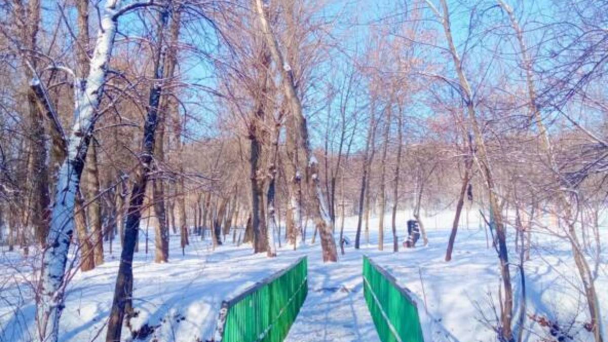 Якою буде погода на вихідні у Запоріжжі та області: прогноз синоптиків