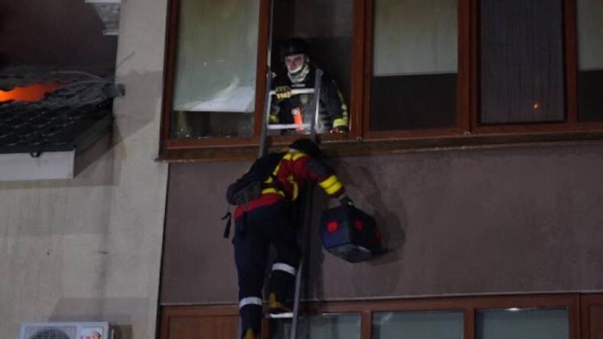 У Запоріжжі рятувальники дістали з-під завалів будинку, пошкодженого дроном, двох котиків