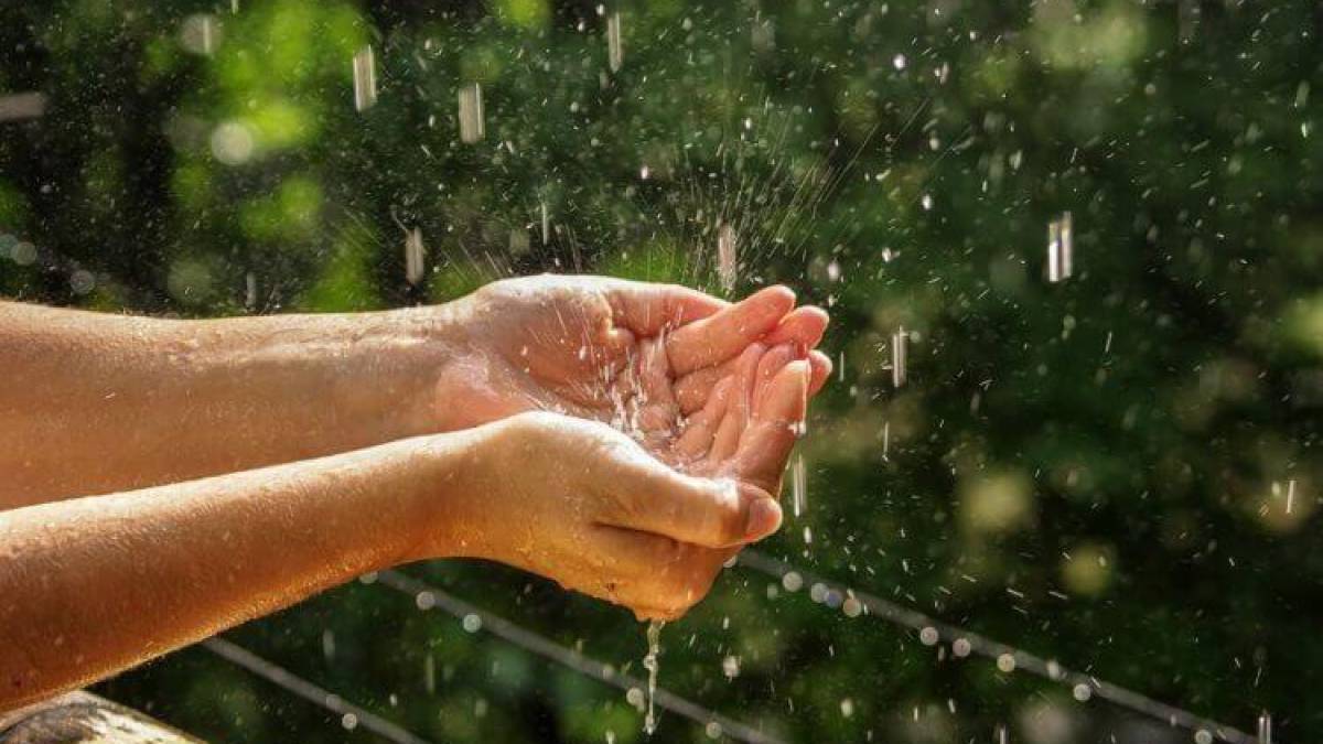 Креативні рішення для збереження води в Запоріжжі