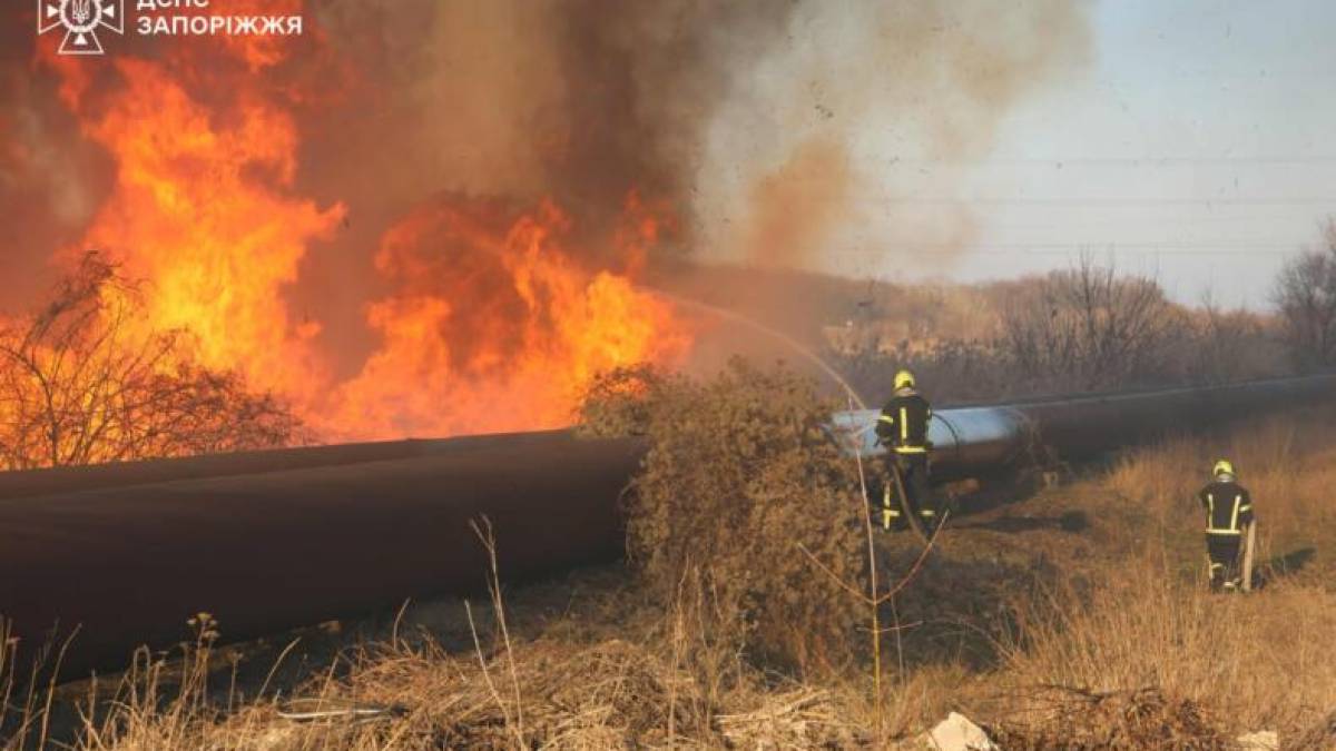 У Запоріжжі вирувала масштабна пожежа: горіли суха трава та очерет (фото, відео)