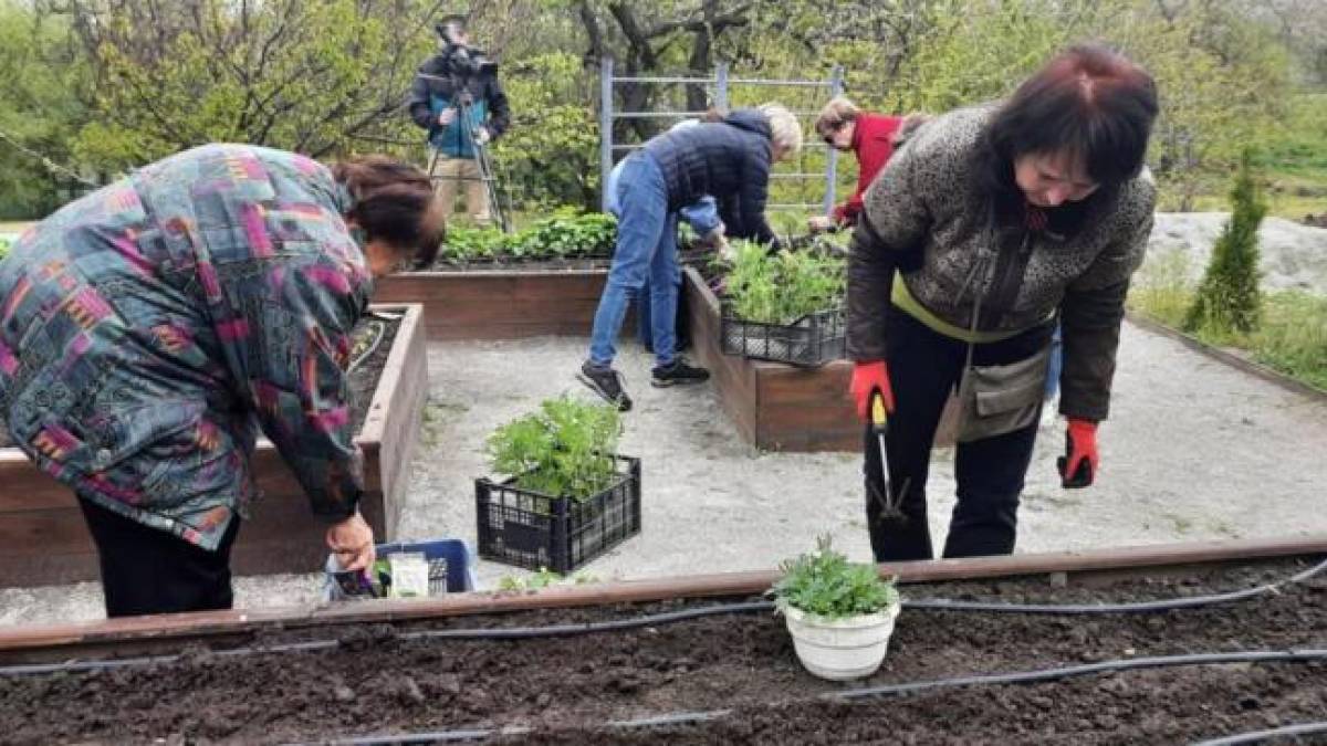 Запоріжцям пропонують відновлювати здоров’я за допомогою гарденотерапії