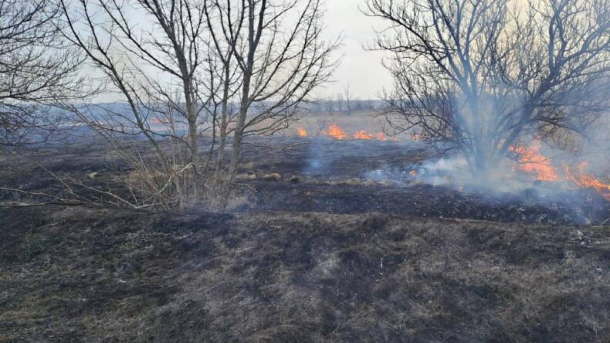 За минулу добу на території області рятувальники ліквідували 9 пожеж в екосистемах