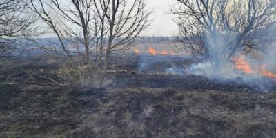 За минулу добу на території області рятувальники ліквідували 9 пожеж в екосистемах