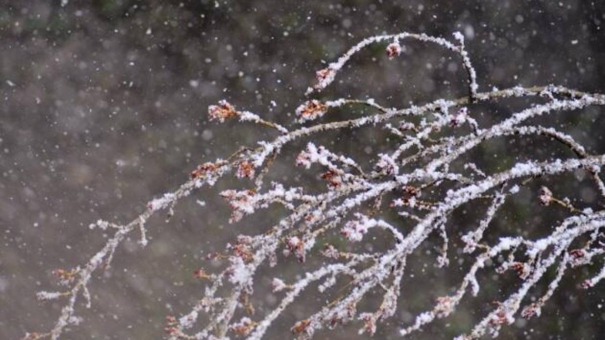 На вихідних прогнозується нестійка погода у всіх регіонах