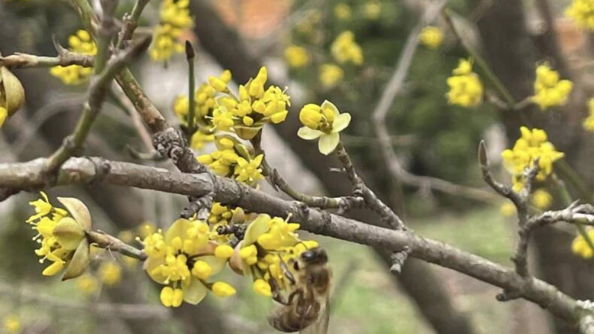 У Запоріжжі зафіксували сьомий за місяць температурний рекорд