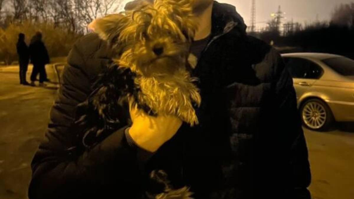 Боєць 110 Запорізької бригади ТрО рятував запоріжців