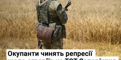 Окупанти чинять репресії щодо аграріїв на ТОТ Запоріжжя