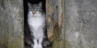 19 березня на українців чекає останній холодний день перед потеплінням