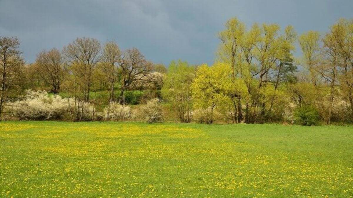 Тепло не поспішає — яку погоду обіцяють у квітні