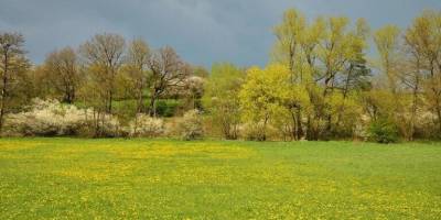 Тепло не поспішає — яку погоду обіцяють у квітні