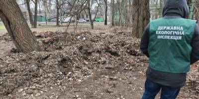 У Запоріжжі зафіксовано скупчення рослинних відходів