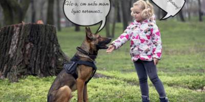 395 злочинів розкрили службові собаки у Запорізькій області