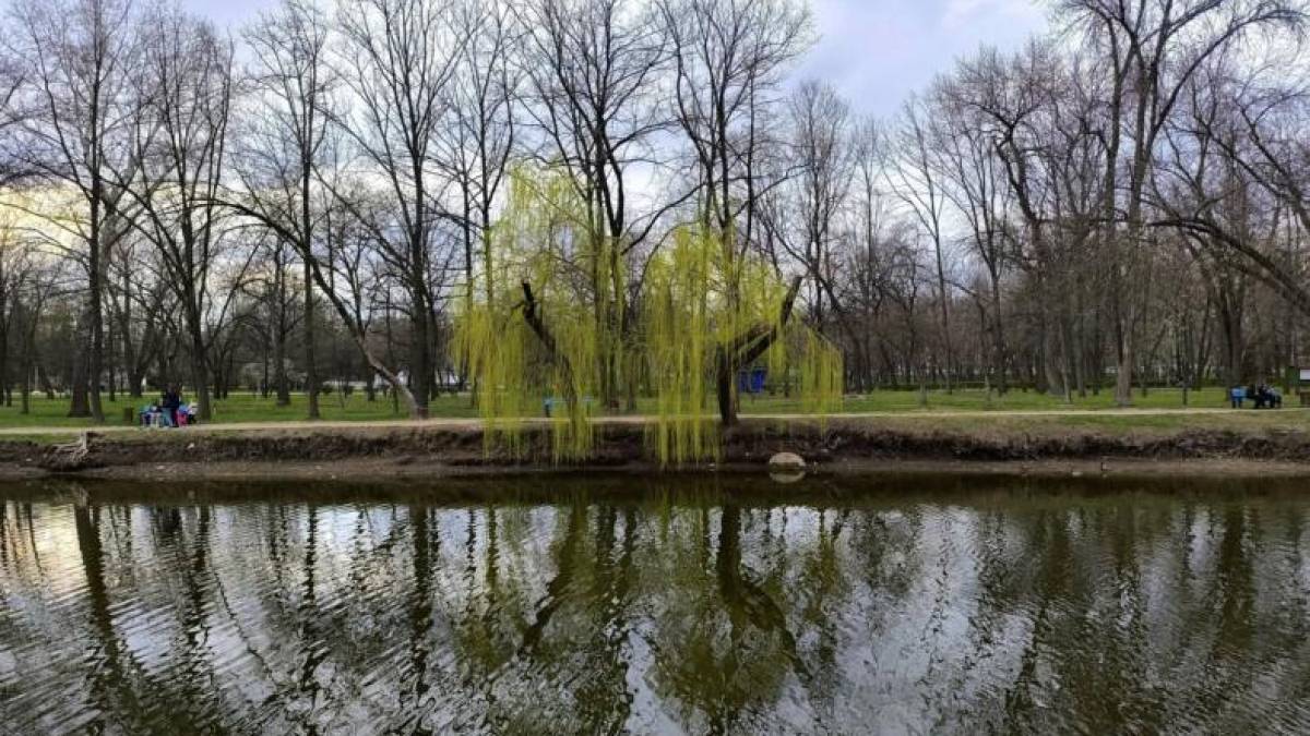 Якою буде погода на вихідні у Запоріжжі та області: прогноз синоптиків
