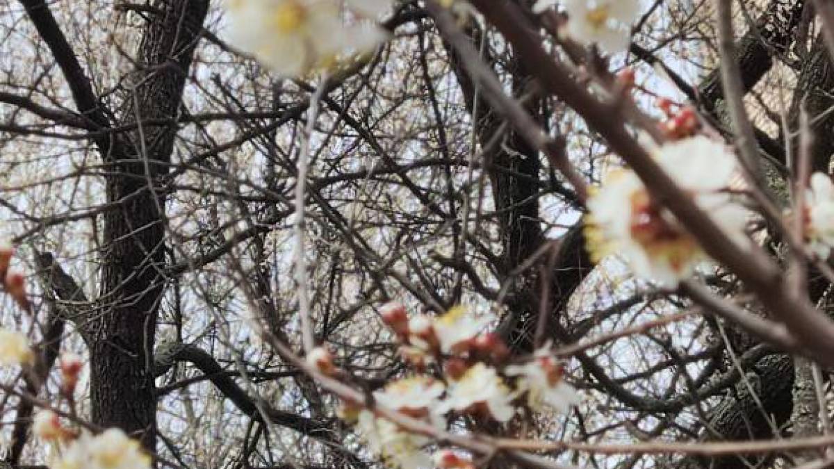 Якою буде погода на вихідні у Запоріжжі та області: прогноз синоптиків