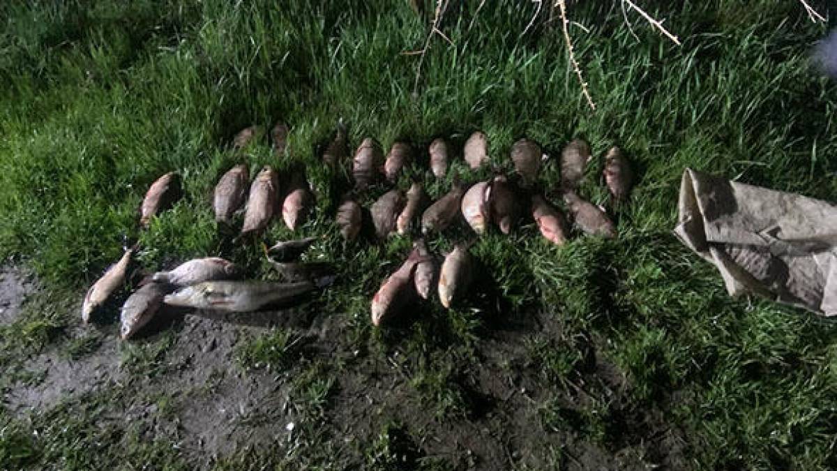 Впродовж доби браконьєри спричинили збитків рибному господарству на понад 80 тис. грн