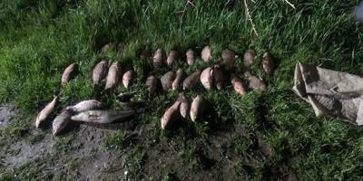 Впродовж доби браконьєри спричинили збитків рибному господарству на понад 80 тис. грн