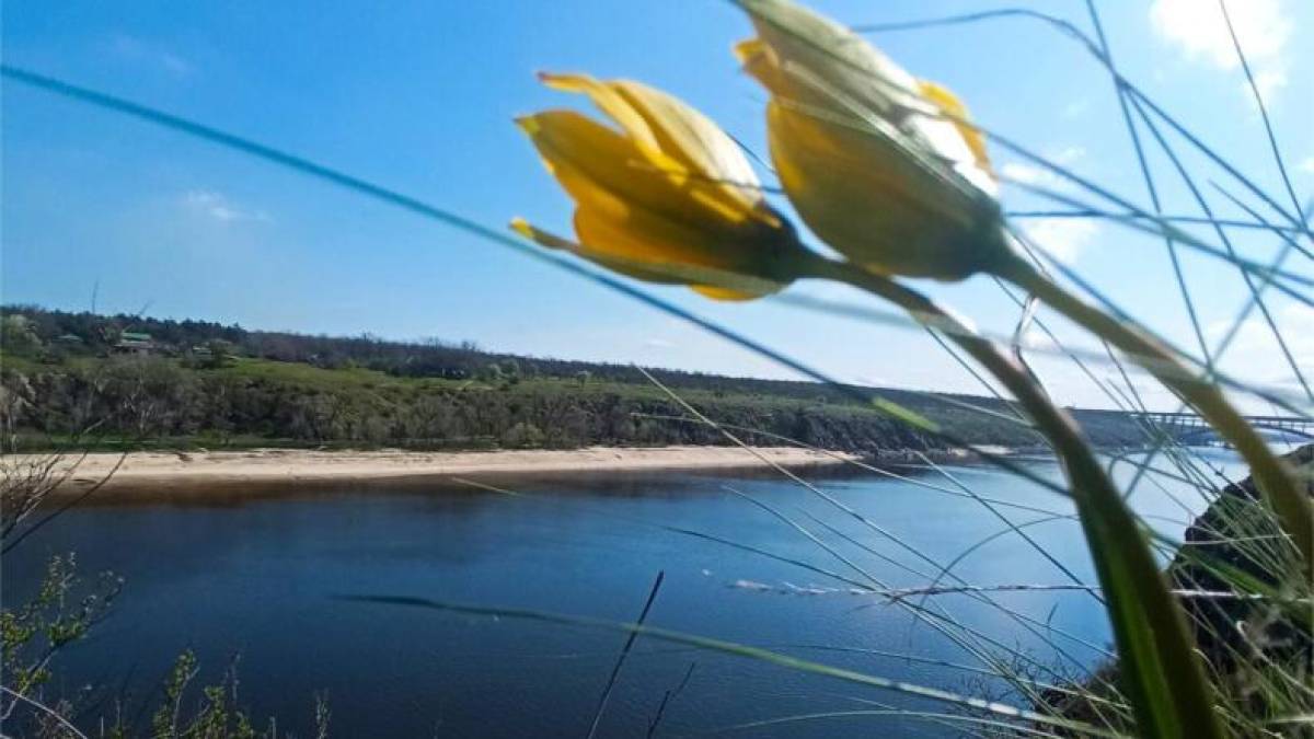 Якою буде погода в Запоріжжі в перші три дні тижня – прогноз синоптиків