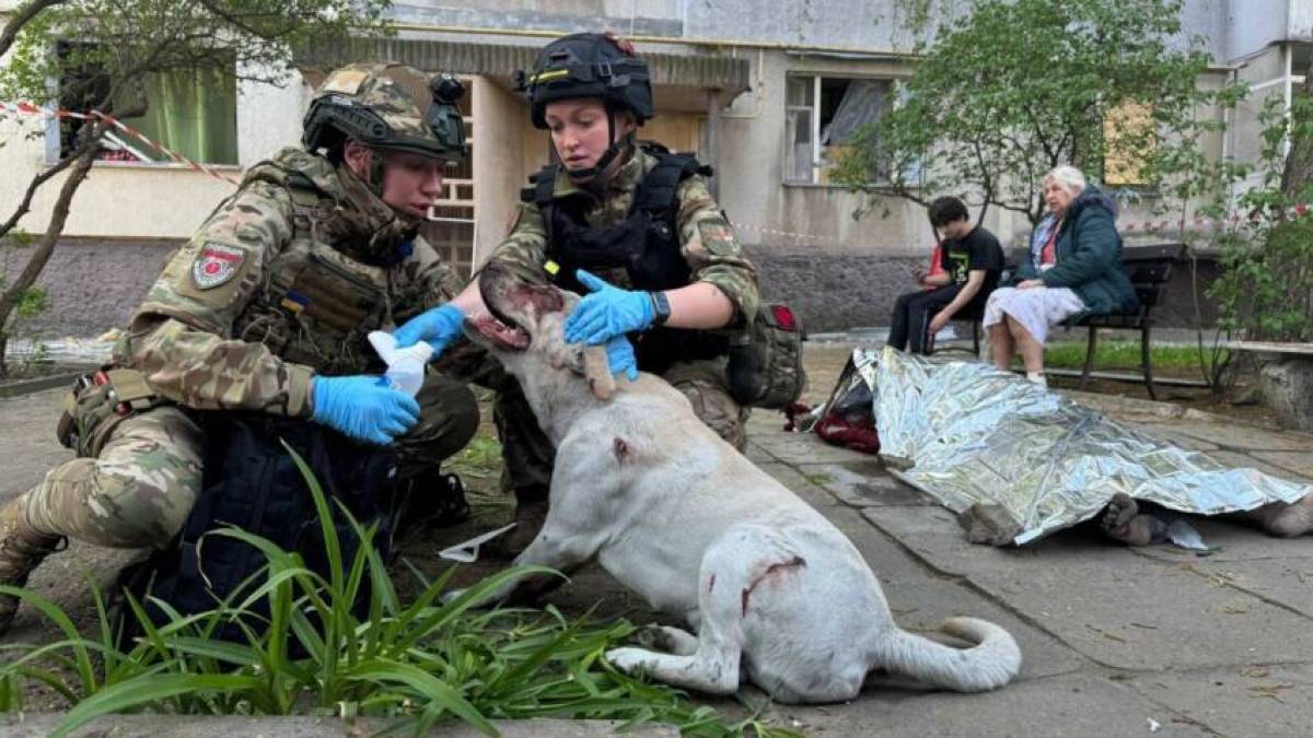 На фото — наслідки ворожої атаки по Шевченківському району Запоріжжя 22 квітня