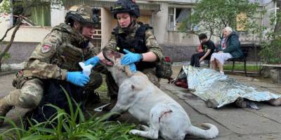 На фото — наслідки ворожої атаки по Шевченківському району Запоріжжя 22 квітня