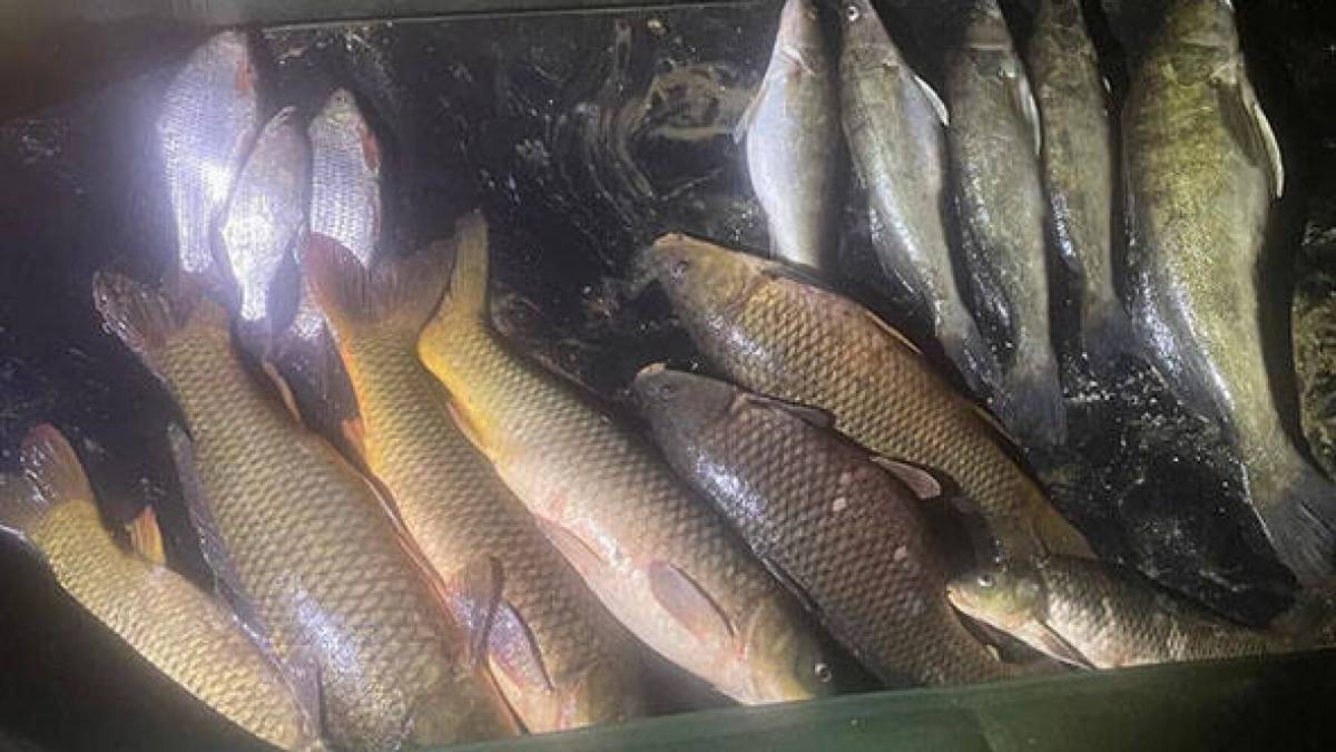На Запоріжжі попередили збитків рибному господарству на понад 200 тис. грн