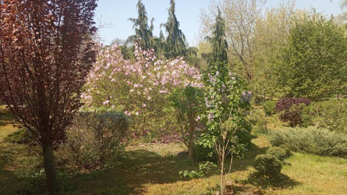 Весняна прогулянка по ботанічному саду