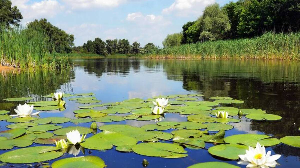 Якою буде погода в Україні у травні – синоптики дали прогноз