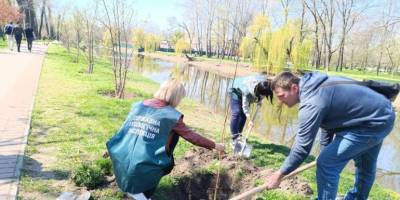 У “Дубовці” з’явилася ще одна алея магнолій