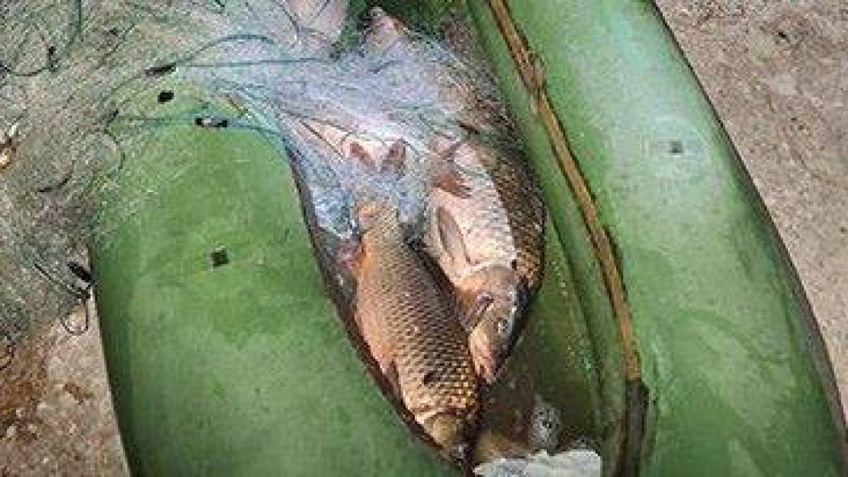 У акваторії Дніпровського водосховища правопорушники нанесли збитків на понад 100 тис. грн