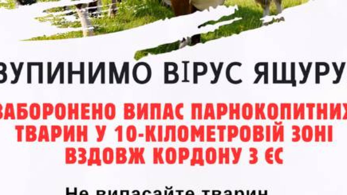 В Україні заборонили випас худоби в 10-кілометровій зоні вздовж кордону з ЄС
