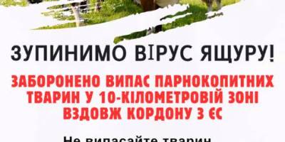 В Україні заборонили випас худоби в 10-кілометровій зоні вздовж кордону з ЄС