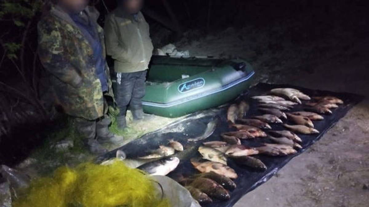 На Запоріжжі затримано двох громадян, які здійснювали незаконний лов риби