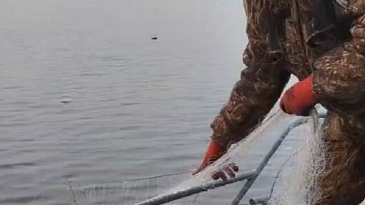 На Запоріжжі за 10 днів нерестової заборони з водойм вилучено 47 заборонених знарядь лову