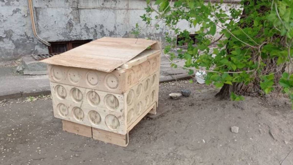 Біля гуртожитку, де живуть ВПО, збудували буду для бездомного песика