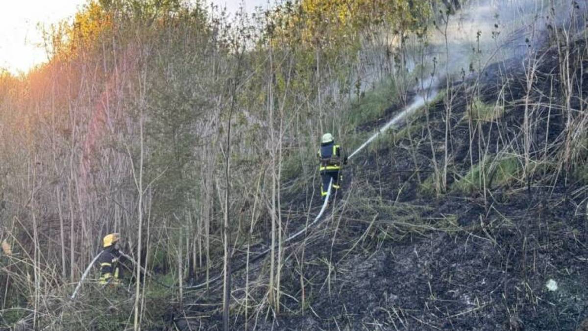 За минулу добу на території області рятувальники ліквідували 8 пожеж в екосистемах