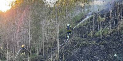 За минулу добу на території області рятувальники ліквідували 8 пожеж в екосистемах