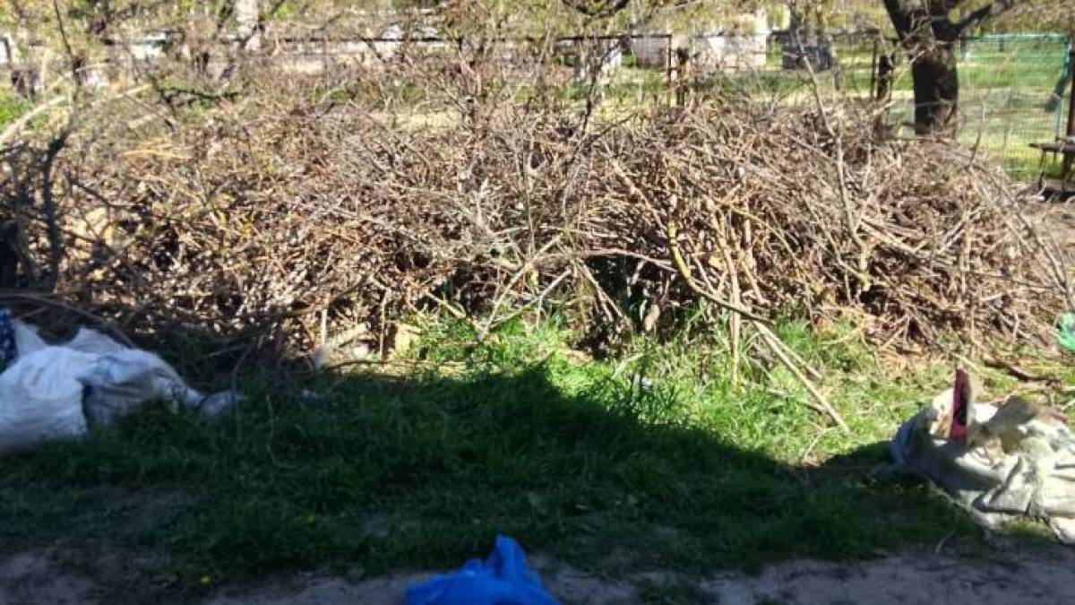 В окупованому Бердянську шкільні майданчики перетворюються на сміттєзвалища