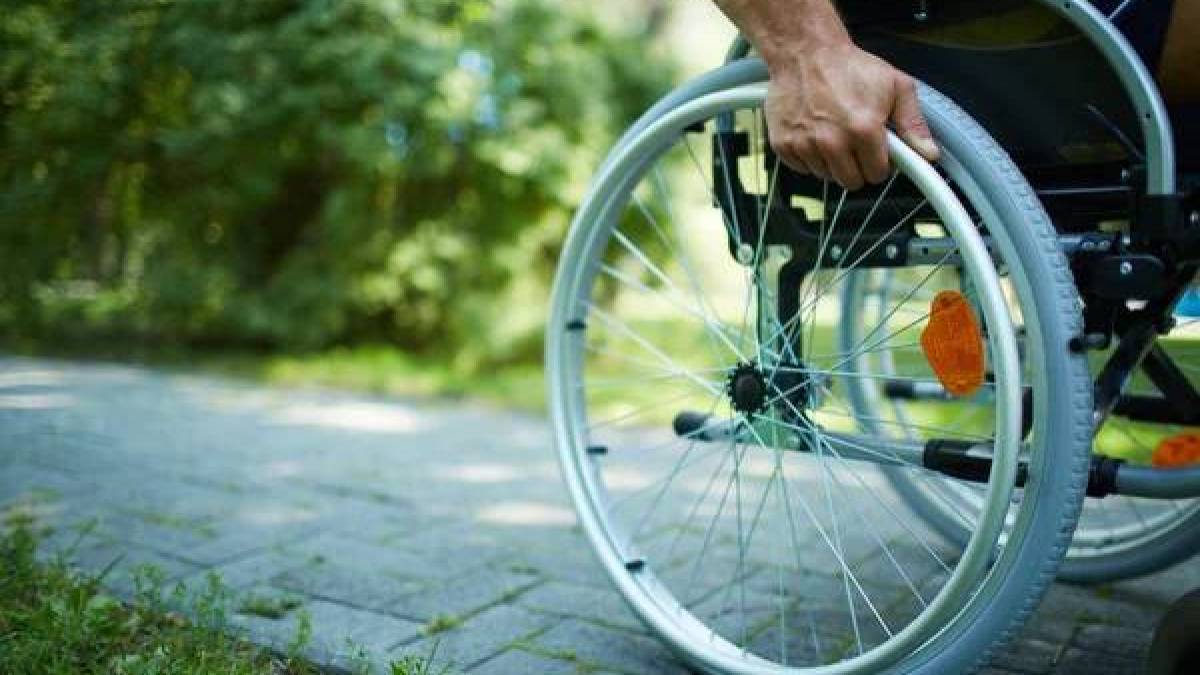 Запоріжцям пропонують відновлювати здоров’я за допомогою гарденотерапії