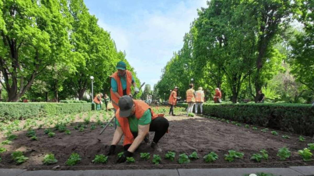 На Алеї Бойової Слави у Запоріжжі висадять 15 тисяч квітів