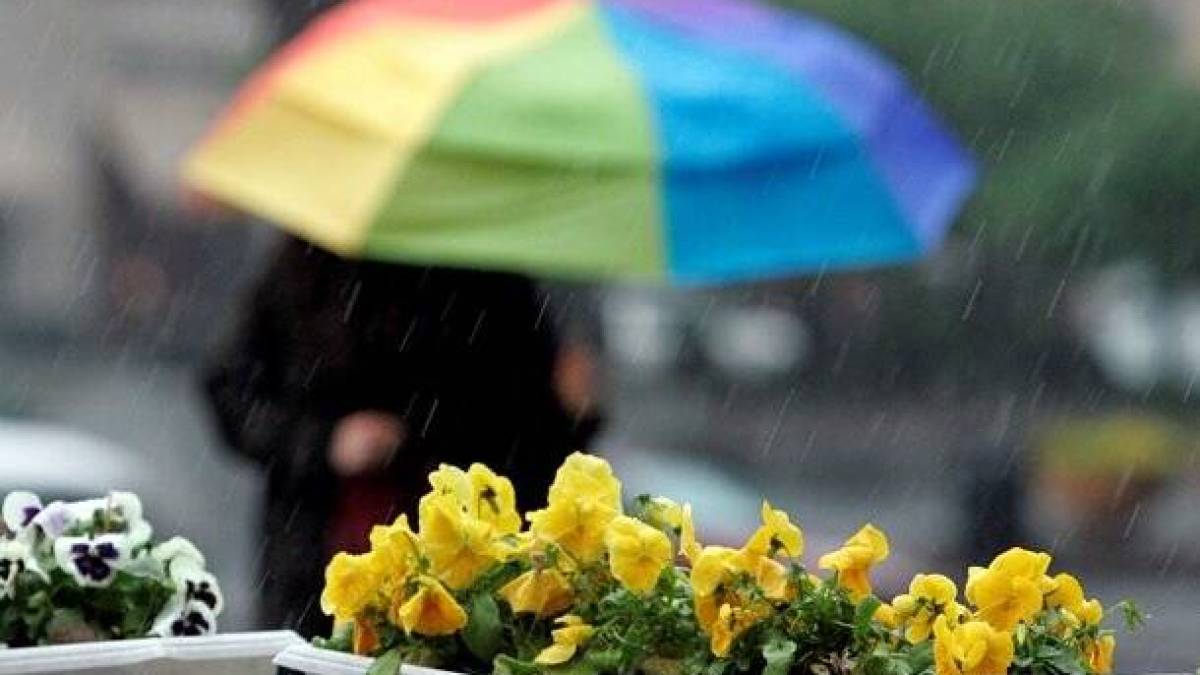 Якою буде погода в Запоріжжі в перші три дні тижня – прогноз синоптиків