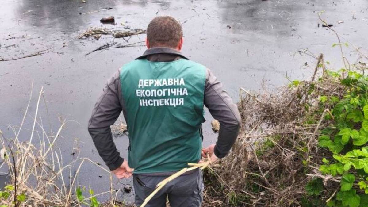 Забруднення річки Мокра Московка у Запоріжжі: офіційний коментар влади