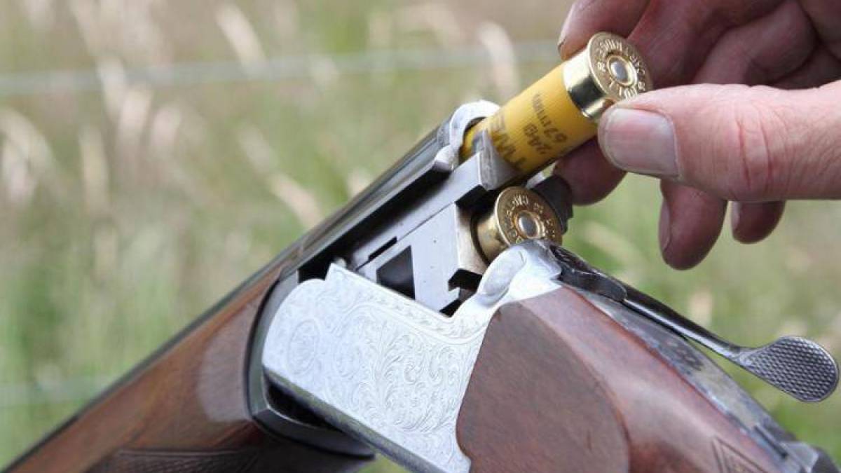 На Запоріжжі чоловік під час сварки вистрілив у знайомого з рушниці