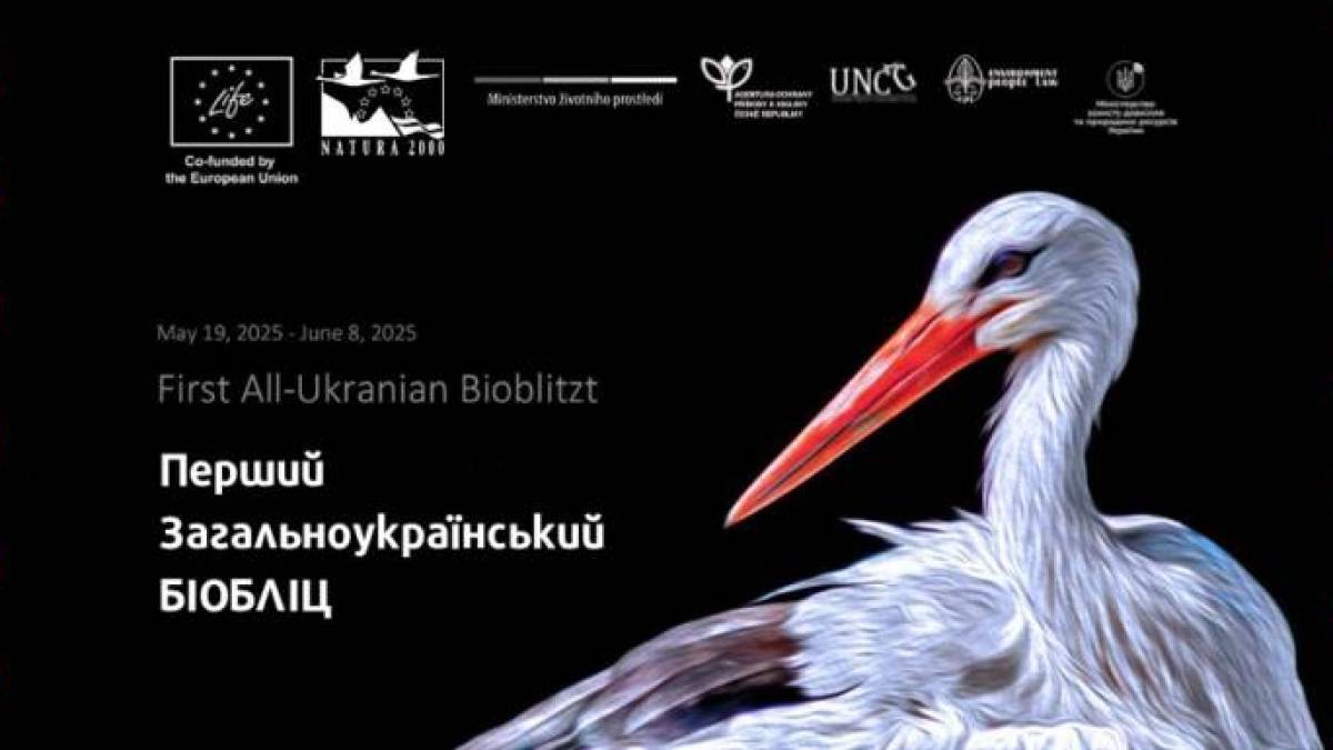 iNaturalist пропонує стати учасником загальноукраїнського біобліцу