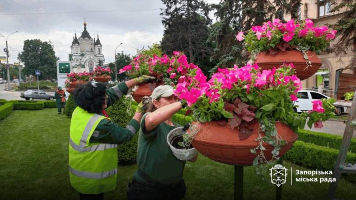 Головний проспект Запоріжжя прикрашають квітами