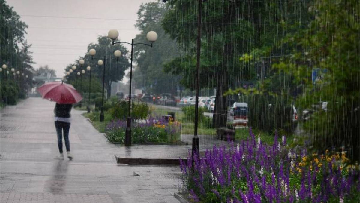 Якою буде погода на вихідні у Запоріжжі та області: прогноз синоптиків