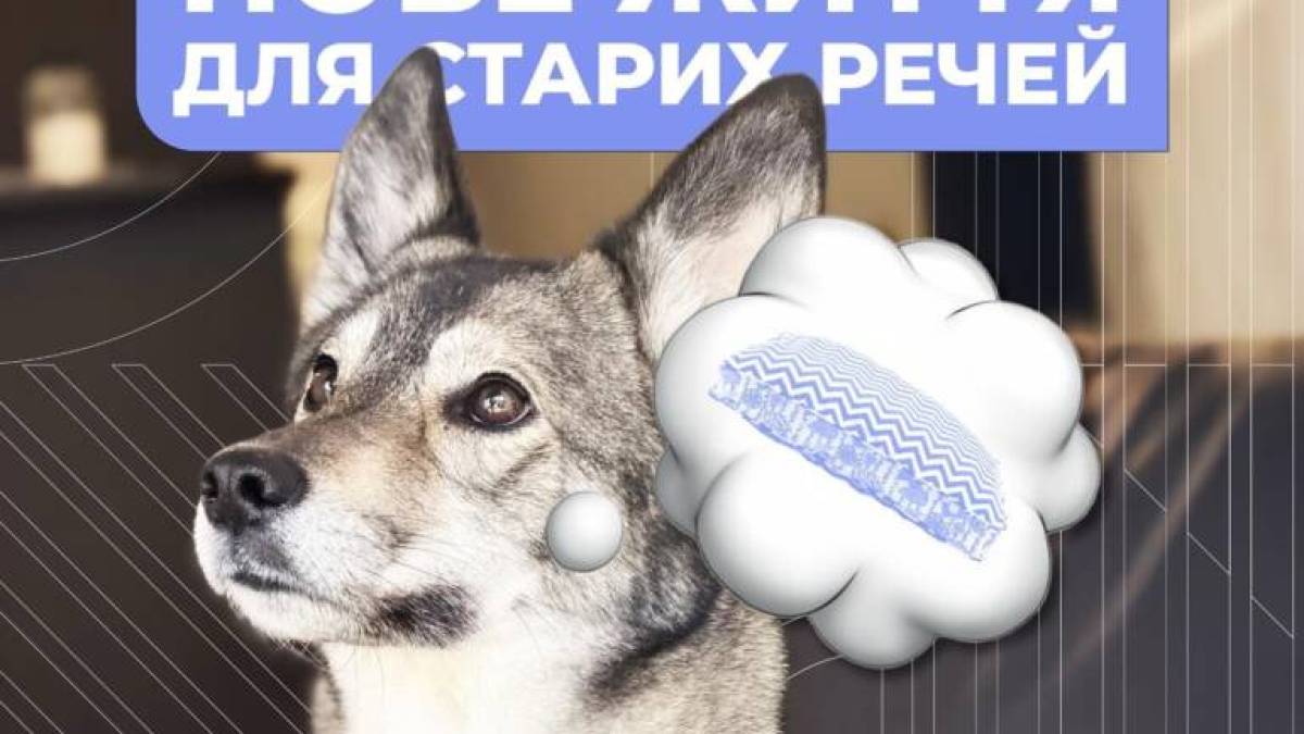 У Запоріжжі стартує соціальний проєкт «Gav Comfort»