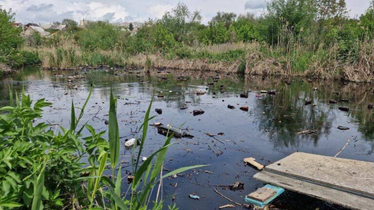 Моніторингове дослідження стану малих річок Запоріжжя